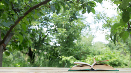 Studying in summer concept. Open book on a wooden table in a garden, sunny summer day