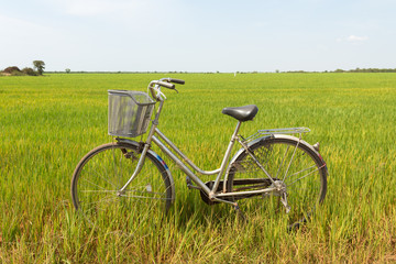 Fototapeta na wymiar Retro vintage bicycle in green field. Relaxing summer day in the countryside