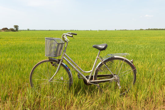 Retro vintage bicycle in green field. Relaxing summer day in the countryside