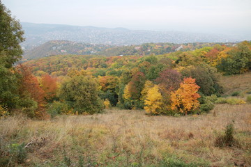 Unedited autumn pictures of the popular Hungarian park called Normafa