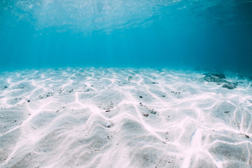 Blue ocean with white sand bottom underwater in Hawaii © artifirsov