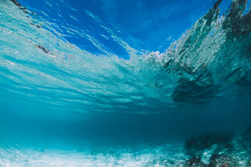 Fototapeta na wymiar Blue ocean with white sand bottom underwater in Hawaii