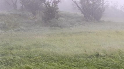 台風時の公園の風景