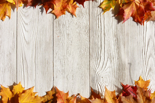 Fall leaves background. Welcome Autumn concept. Bright red, orange maple leaves on white wooden table.  September, October, November, thanksgiving, frame, border