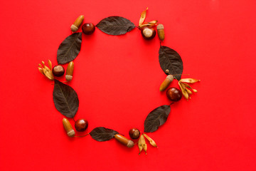 Circle made of colorful autumn leaves with chestnuts and acorns on a red background. Top view, flat lay copy space
