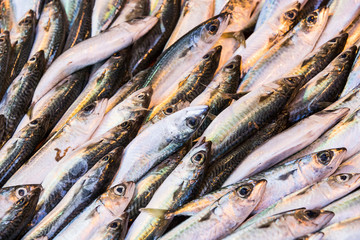 Sea fish background at the fish market close-up. 