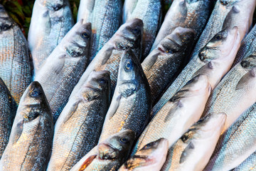 Obraz premium Sea fish background at the fish market close-up. 