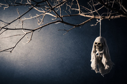 Human skull rainy doll dangle at the dried tree with  light at dark background, The idea from Teru teru bouzu doll or rainy doll is tradition and culture of Japan