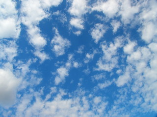 Obraz premium 秋の空