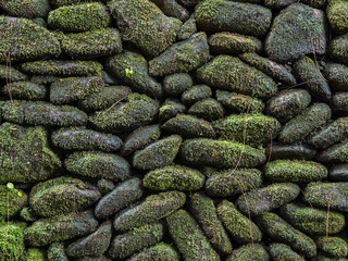 Wall made of old stone with moss