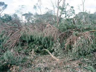 disaster after an hurricane, damages and sever destructions, insurance needed, rebuild theme and industry insurance.