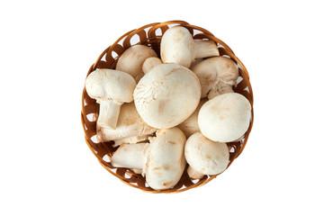 Raw organic champignon mushrooms (Agaricus bisporus) isolated on white background