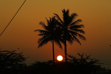 Fototapeta na wymiar village sunset in india