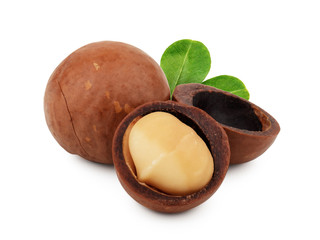 Macadamia nuts isolated on white background
