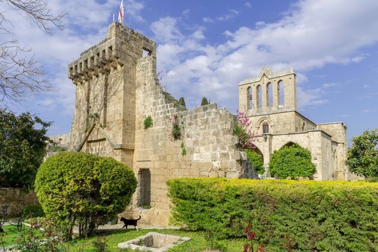 Monastery ruin, Bellapais, district of Kyrenia, Turkish Republic of Northern Cyprus, Cyprus, Europe