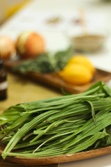 Medicinal herbs, little plantain herb