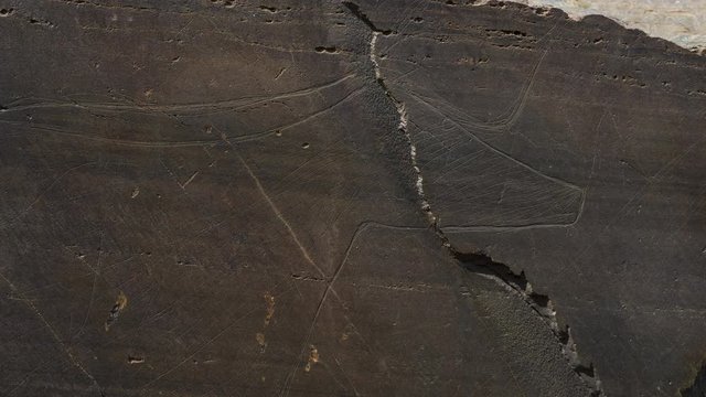 Engravings, Archaeological site, Ribeira de Piscos, C&ocirc;a Valley, Western Iberia, Portugal, Europe, Rewilding Europe