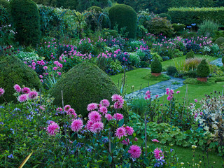 A colourful sunken flower border of Dahlias including Dahlia 'Fascination' in a summer garden