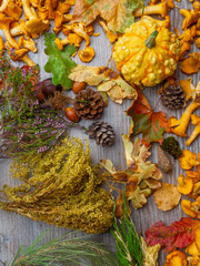 nature, autumn season concept - different dry fallen autumn leaves, chestnuts, acorns, pumpkin, chanterellemushroom, cone on wooden background