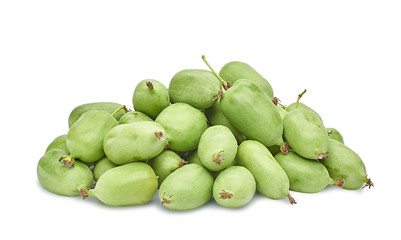 ripe vitamin fruit berry delicious actinidia (kiwi)