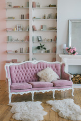 Fototapeta na wymiar Living room interior with vintage sofa and bookshelf.