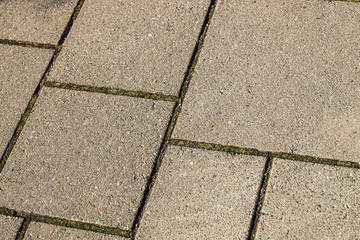 Fototapeta premium Grey brick pavement on the street of city