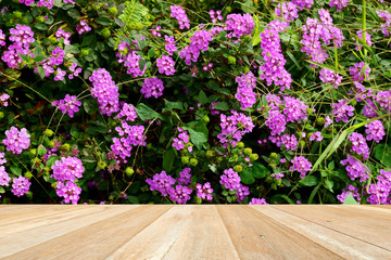 Empty top wooden table on beautiful purple flowers blooming in nature