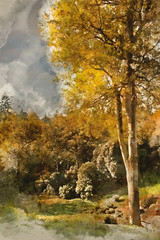 Naklejka na ściany i meble Digital watercolor painting of Stunning vibrant Autumn forest landscape