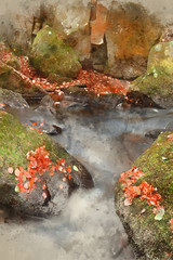 Digital watercolor painting of Blurred water detail with rocks nad Autumn leaves in Padley Gorge in Peak District