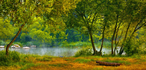 Glade with trees in forest at bank river. Picturesque landscape autumn.