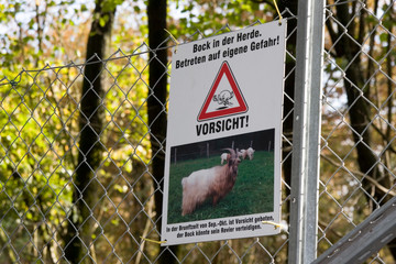 Warnschild Bock in der Herde
