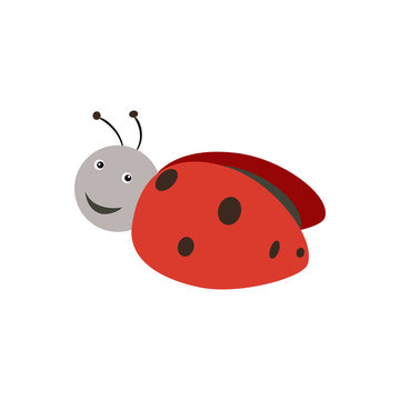 Cute ladybug. Abstract concept, icon. Vector illustration on white background.