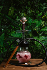 design smoky hookah for friends with milk. shisha on a green background