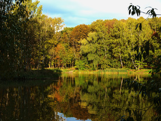 Autumn, Park, pond.