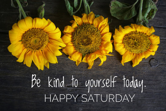 Inspirational motivational quote - Be kind to yourself today. With 3 beautiful sunflowers on rustic wooden table background. Self reminder, happy Saturday greeting concept.