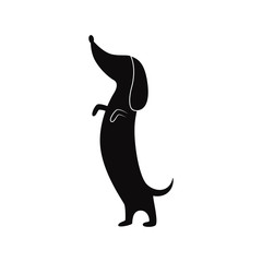 Dachshund dog standing on hind legs - flat black silhouette isolated