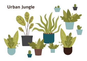 Urban jungle - hand drawn home plant set isolated on white background.