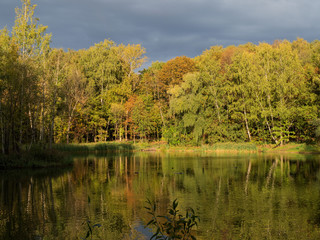Fototapeta na wymiar Autumn, Park, pond.