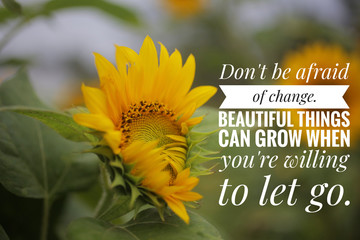 Inspirational quote - do not be afraid of change. Beautiful things can grow when you are willing to...
