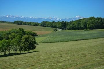 Fototapeta na wymiar Campagne et Pyrénées