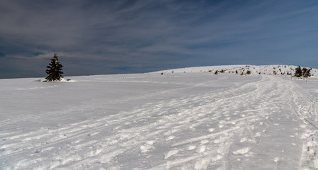 Fototapeta na wymiar winter Jeseniky mountains bellow Vysoka hole hill in Czech republic