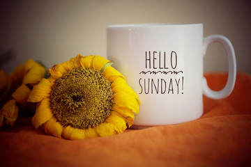 Hello Sunday greeting on a white mug of coffee. With sunflowers and orange colors background....