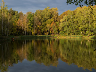 Fototapeta na wymiar Autumn, Park, pond, duck house.