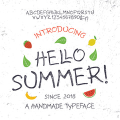  Summer  Font. Hand Made Typeface. Custom handwritten surfers alphabet. Original Letters and Numbers. Vector.