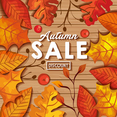 autumn sale in background wooden with leafs