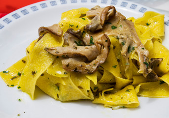 Pappardelle with porcini mushrooms