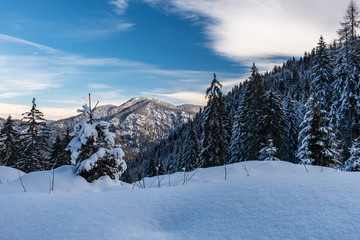 winter day in the alps of Friuli Venezia-Giulia