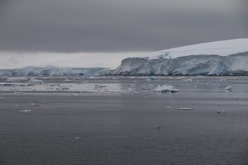 malownicze kry i góry lodowe na spokojnym morzu w pochmurny dzień