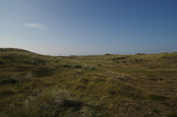 Heidelandschaft auf Sylt