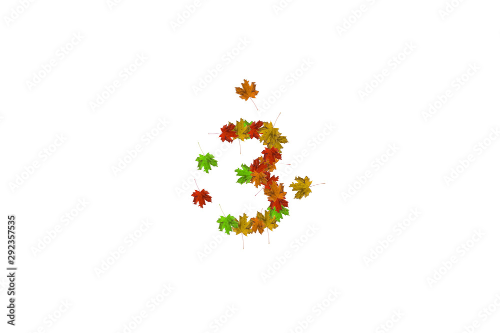 Wall mural number three made with autumn leaves isolated on white. fall concept. organic digits from 0 to 9